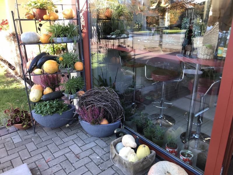 Калининград-Бирштонас-Вильнюс-Рига-Копенгаген: путешествие по южной Балтике.