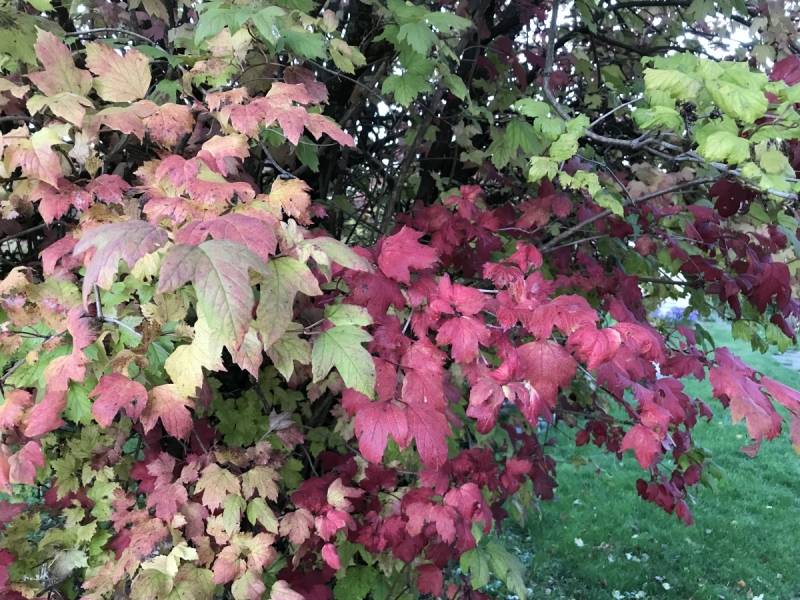 Калининград-Бирштонас-Вильнюс-Рига-Копенгаген: путешествие по южной Балтике.