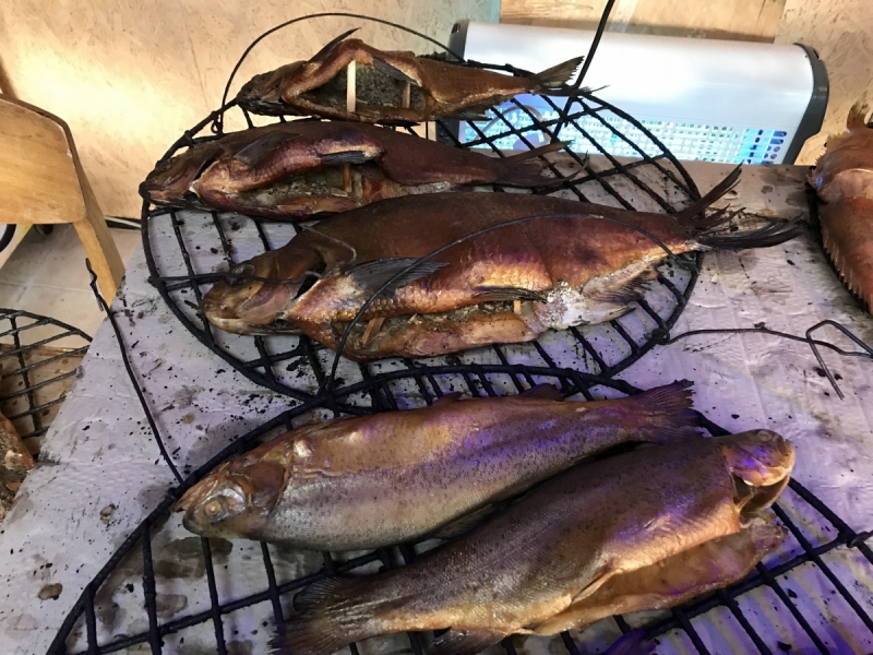 Калининград-Бирштонас-Вильнюс-Рига-Копенгаген: путешествие по южной Балтике.