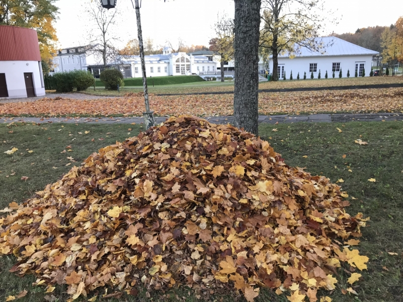Калининград-Бирштонас-Вильнюс-Рига-Копенгаген: путешествие по южной Балтике.