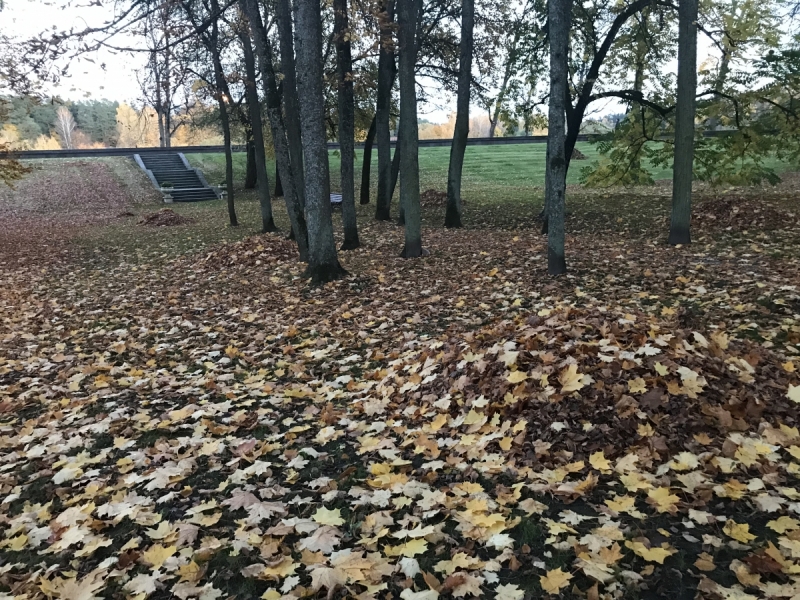 Калининград-Бирштонас-Вильнюс-Рига-Копенгаген: путешествие по южной Балтике.