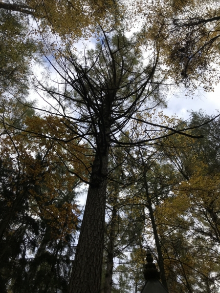 Калининград-Бирштонас-Вильнюс-Рига-Копенгаген: путешествие по южной Балтике.