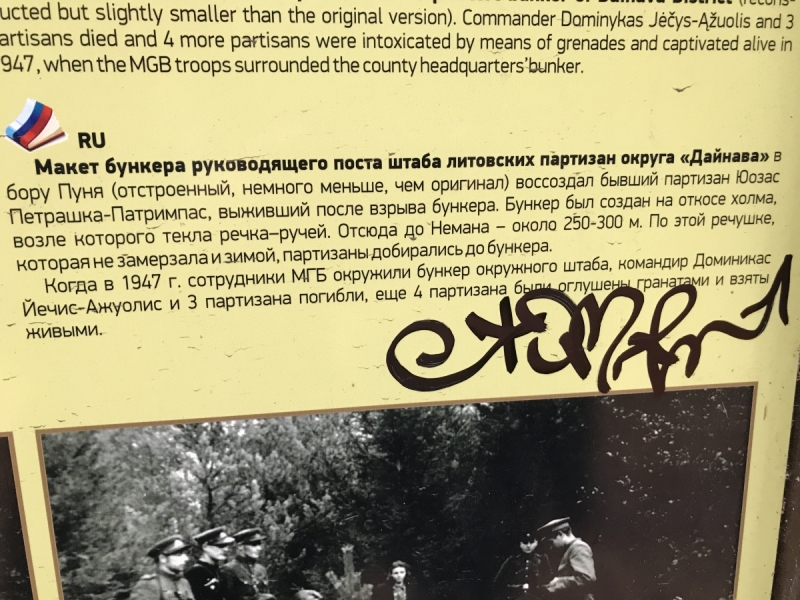 Калининград-Бирштонас-Вильнюс-Рига-Копенгаген: путешествие по южной Балтике.