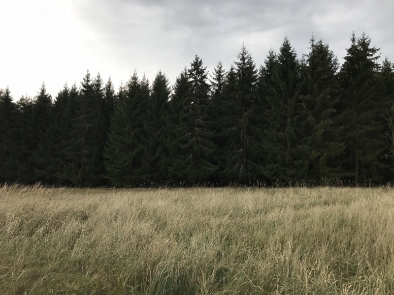 Калининград-Бирштонас-Вильнюс-Рига-Копенгаген: путешествие по южной Балтике.