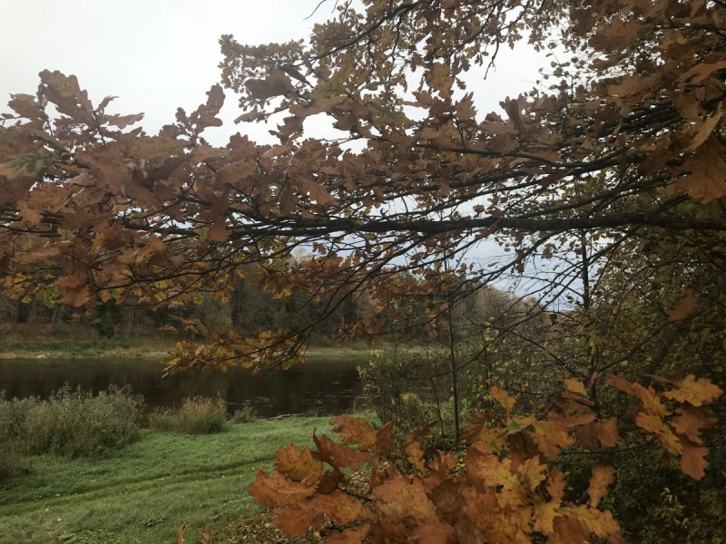 Калининград-Бирштонас-Вильнюс-Рига-Копенгаген: путешествие по южной Балтике.