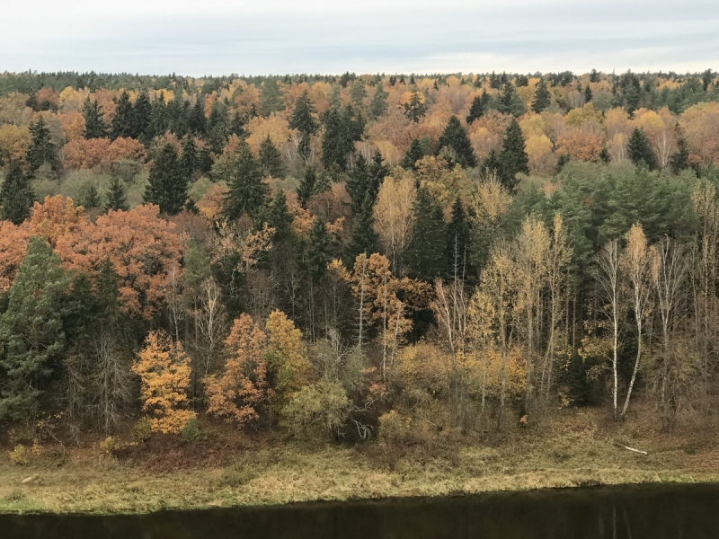 Калининград-Бирштонас-Вильнюс-Рига-Копенгаген: путешествие по южной Балтике.