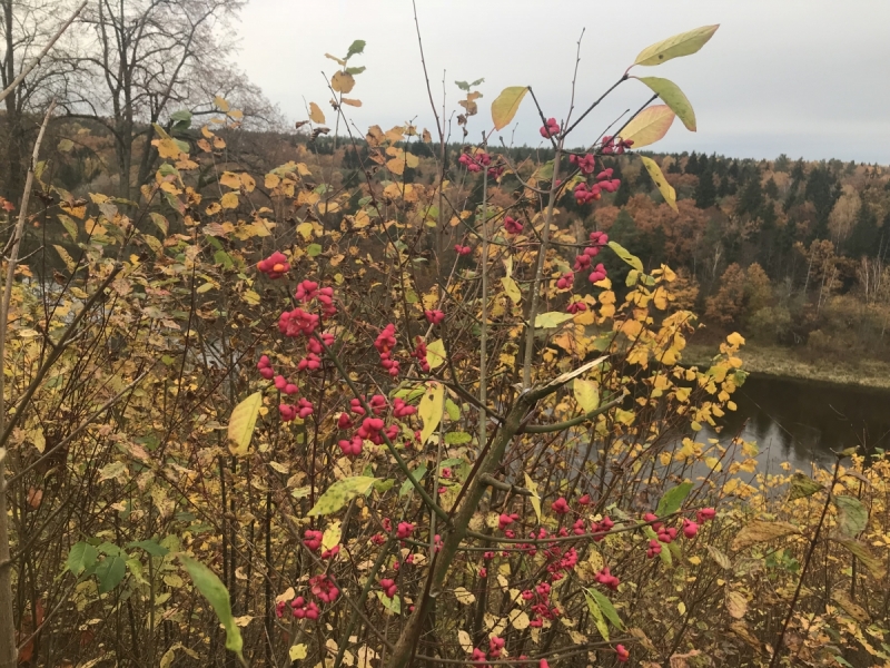 Калининград-Бирштонас-Вильнюс-Рига-Копенгаген: путешествие по южной Балтике.