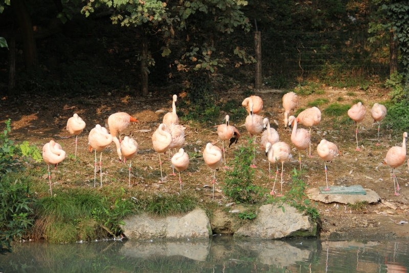 Гарда в октябре