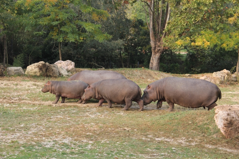 Гарда в октябре