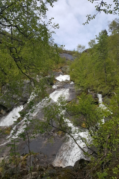Там на неведомых дорожках...следы людей. Норвегия, регион фьордов, июнь 2017.