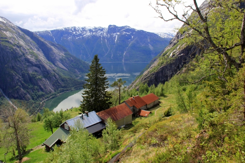 Там на неведомых дорожках...следы людей. Норвегия, регион фьордов, июнь 2017.
