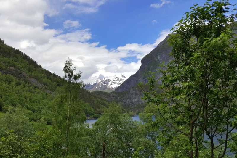 Там на неведомых дорожках...следы людей. Норвегия, регион фьордов, июнь 2017.