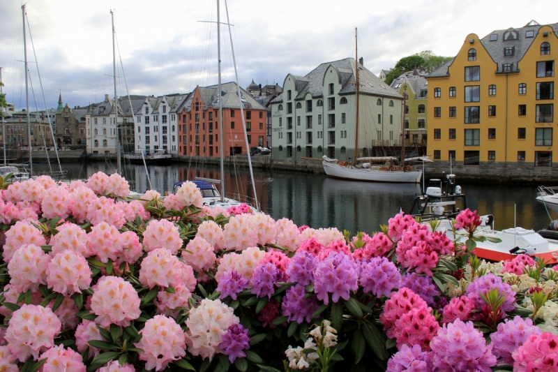 Там на неведомых дорожках...следы людей. Норвегия, регион фьордов, июнь 2017.