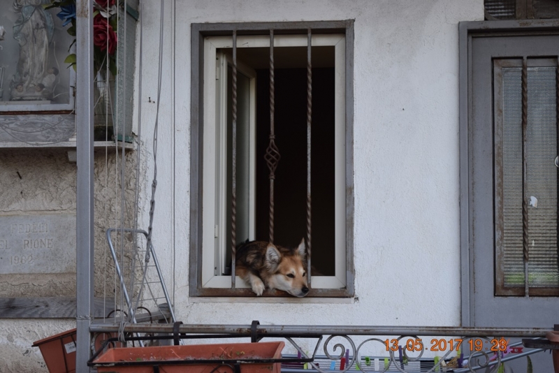 Италия от Венеции до Сиракузы за 15 дней на самолётах, поездах, паромах, автобусе и автомобиле.