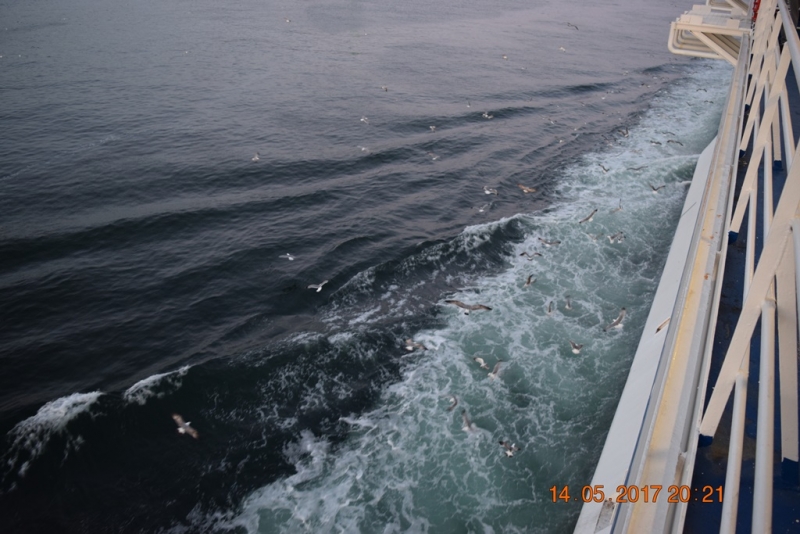 Италия от Венеции до Сиракузы за 15 дней на самолётах, поездах, паромах, автобусе и автомобиле.