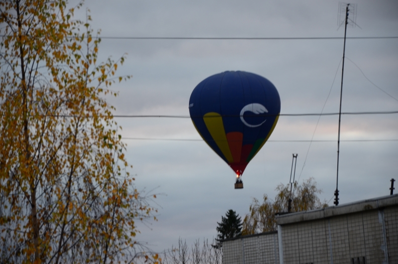 Кошки в нашей жизни. Кошки и все, что с ними связано.