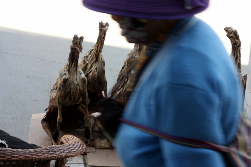 В Тибет на кору. Май 2017