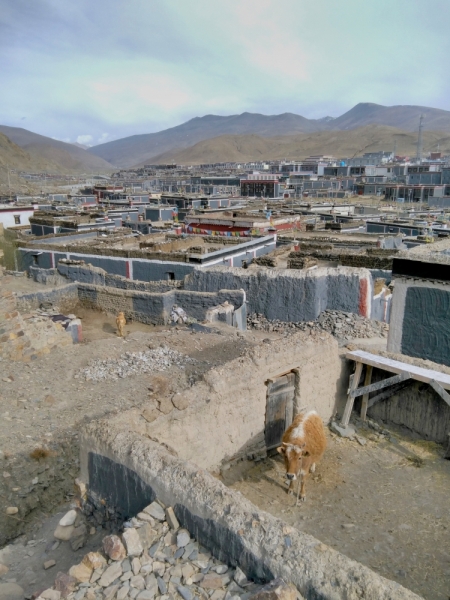 В Тибет на кору. Май 2017