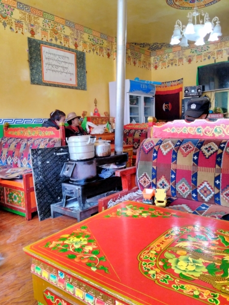 В Тибет на кору. Май 2017