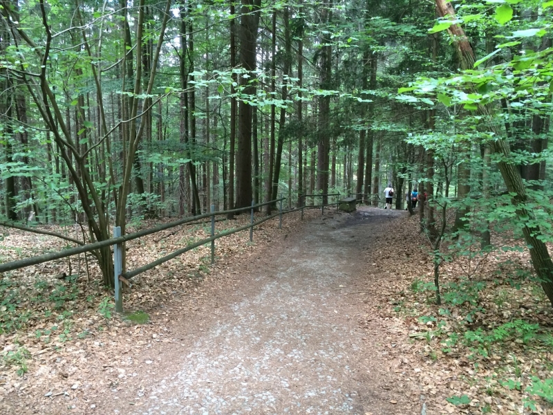 Всегда мечтал вернуться туда... (Ставрополь-Новые Замки, через Прагу и немного Польши))