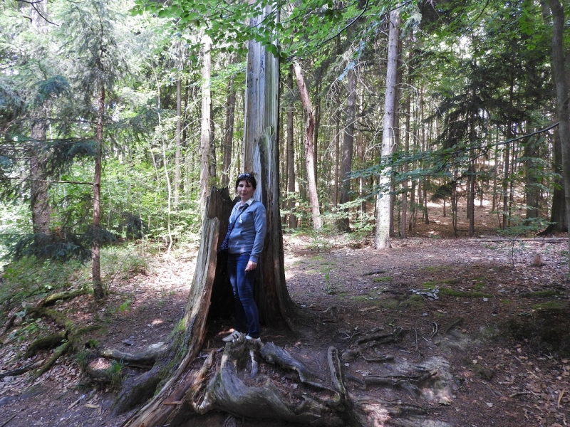 Всегда мечтал вернуться туда... (Ставрополь-Новые Замки, через Прагу и немного Польши))
