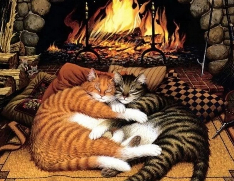 Кошки в нашей жизни. Кошки и все, что с ними связано.