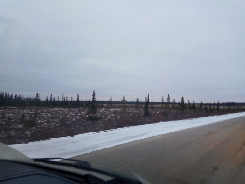 Север. Стынет кровь. Печора, Талый, Каджеро́м, Усть-Лыжы, Паш-Шор, Юрьяха. Без прикрас. 2017окт.