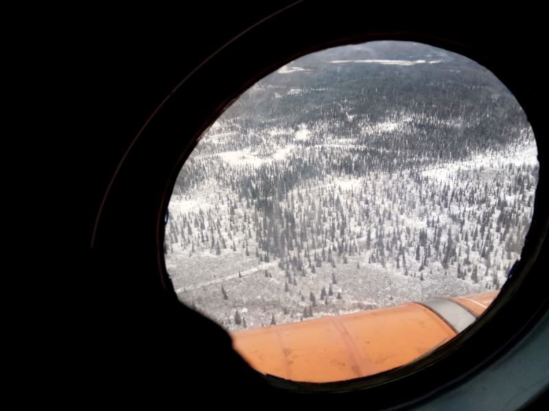 Север. Стынет кровь. Печора, Талый, Каджеро́м, Усть-Лыжы, Паш-Шор, Юрьяха. Без прикрас. 2017окт.