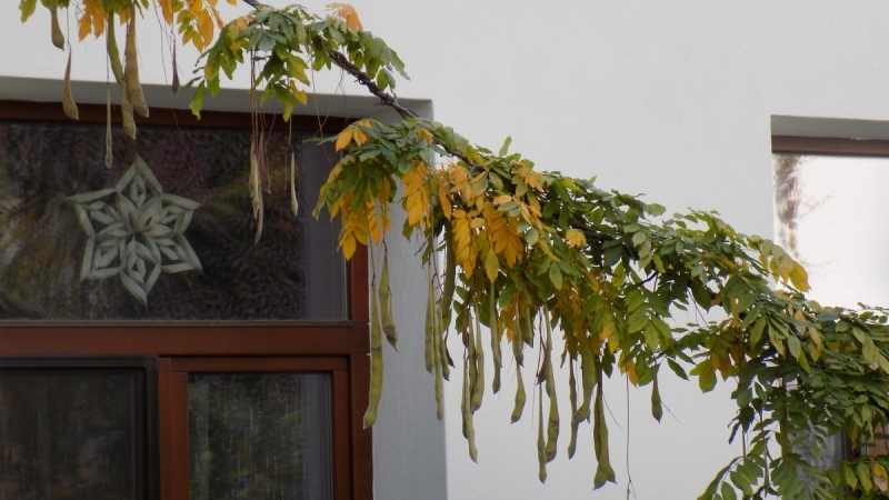 Братислава и города поблизости