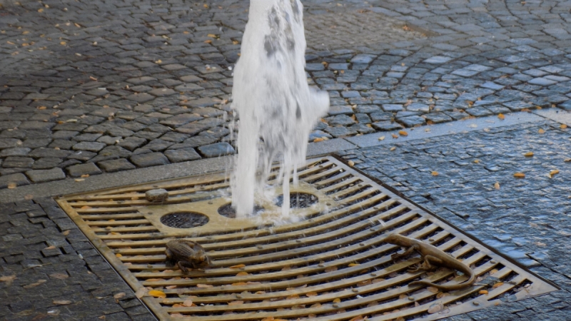 Братислава и города поблизости