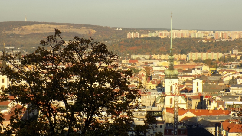 Братислава и города поблизости