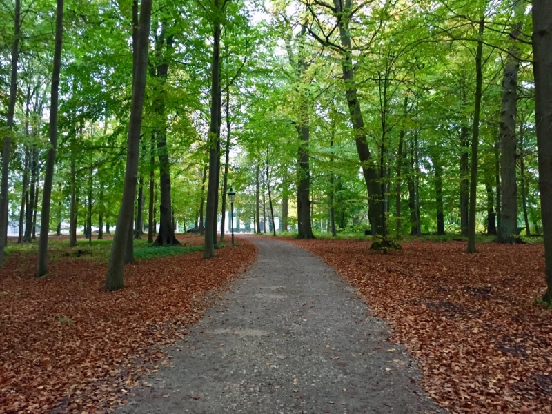 Поиск хюгге под беспрерывным дождем (Копенгаген и немного Мальмё в октябре 2017)