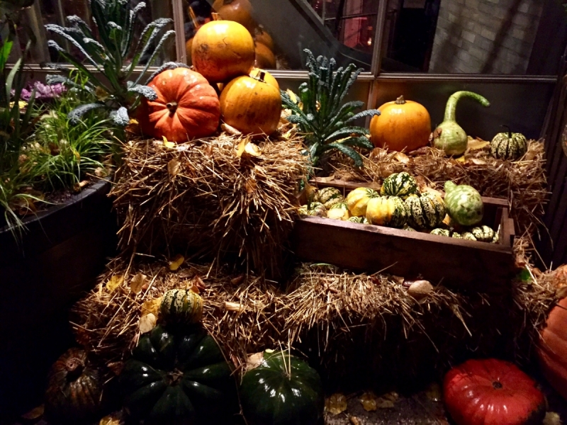 Поиск хюгге под беспрерывным дождем (Копенгаген и немного Мальмё в октябре 2017)