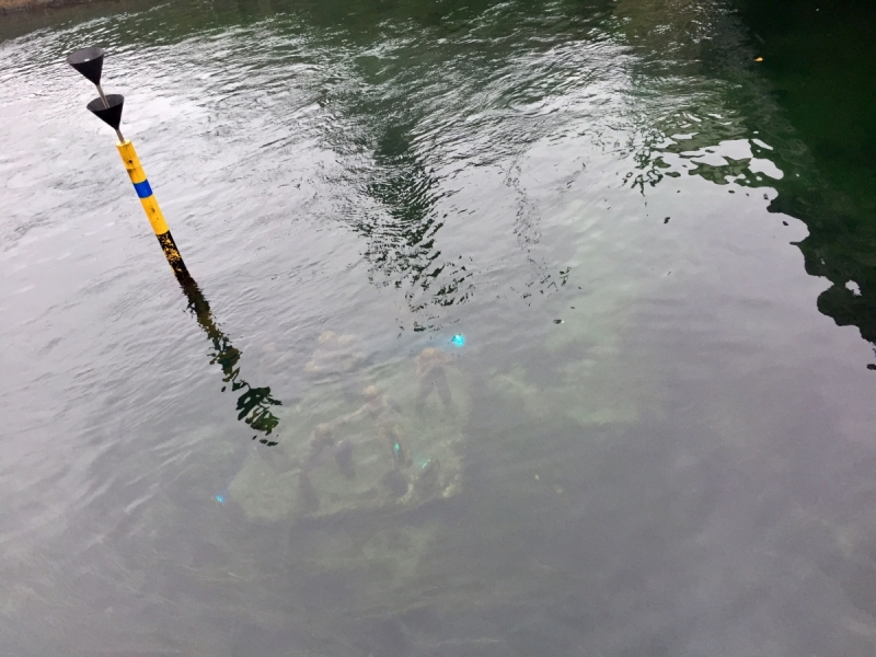 Поиск хюгге под беспрерывным дождем (Копенгаген и немного Мальмё в октябре 2017)