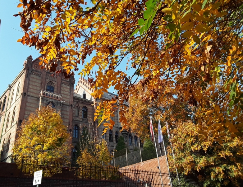 Братислава и города поблизости