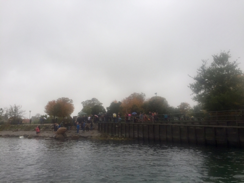 Поиск хюгге под беспрерывным дождем (Копенгаген и немного Мальмё в октябре 2017)