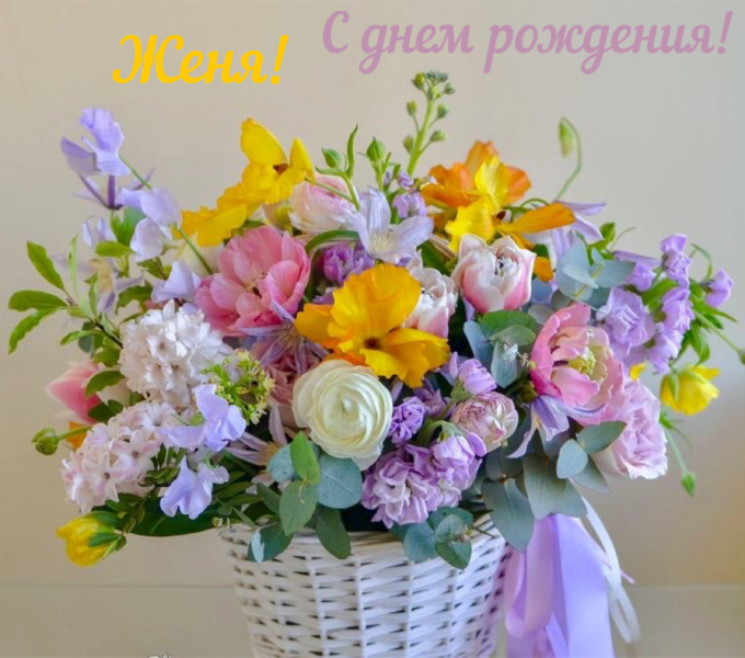 Кошки в нашей жизни. Кошки и все, что с ними связано.