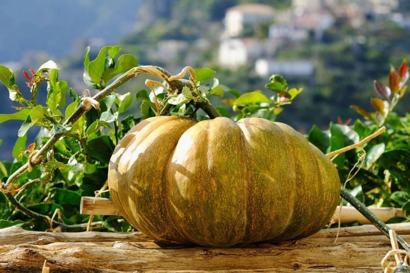 Прочида и Амальфитана, неделя в начале ноября, прошу советов по маршруту