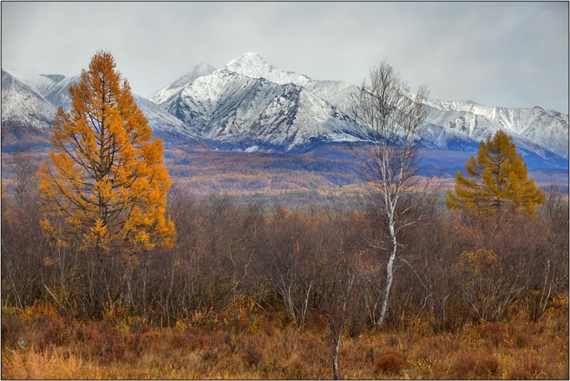 Золотая осень: Восточные Саяны, Хубсугул (Монголия), Байкал