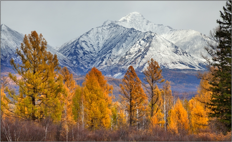 Золотая осень: Восточные Саяны, Хубсугул (Монголия), Байкал