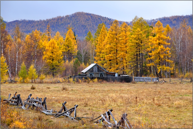 Золотая осень: Восточные Саяны, Хубсугул (Монголия), Байкал