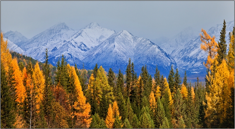 Золотая осень: Восточные Саяны, Хубсугул (Монголия), Байкал