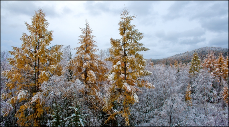 Золотая осень: Восточные Саяны, Хубсугул (Монголия), Байкал