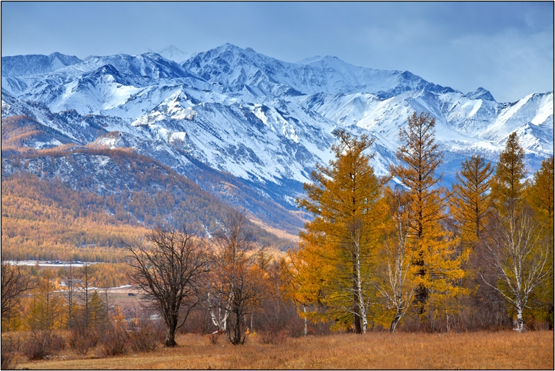 Золотая осень: Восточные Саяны, Хубсугул (Монголия), Байкал