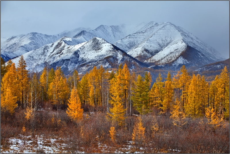 Золотая осень: Восточные Саяны, Хубсугул (Монголия), Байкал
