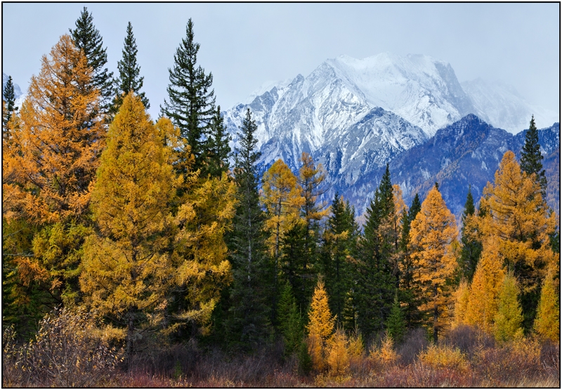 Золотая осень: Восточные Саяны, Хубсугул (Монголия), Байкал