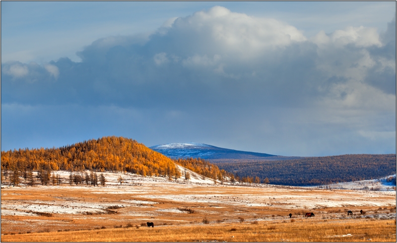 Золотая осень: Восточные Саяны, Хубсугул (Монголия), Байкал