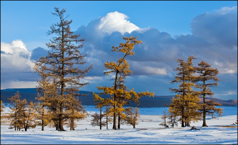 Золотая осень: Восточные Саяны, Хубсугул (Монголия), Байкал