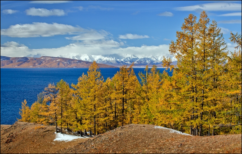 Золотая осень: Восточные Саяны, Хубсугул (Монголия), Байкал