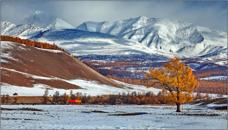Золотая осень: Восточные Саяны, Хубсугул (Монголия), Байкал